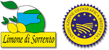 FILIERA DEL LIMONE DI SORRENTO IGP